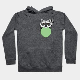 Cute Raccoon in the Pocket Hoodie